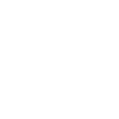 whatsapp button lijn